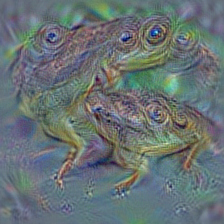 n01644900 tailed frog, bell toad, ribbed toad, tailed toad, Ascaphus trui
